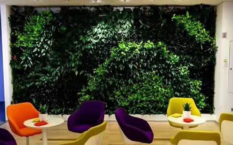 广州锦森室内植物墙设计
